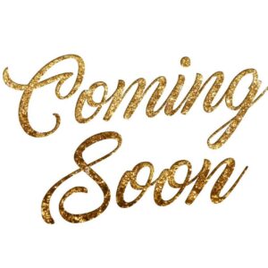 Coming Soon Christmas Shop