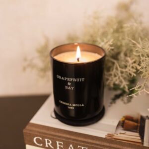 CERERIA MOLLA - Vela Grapefruit & Bay Premium 230g Candle