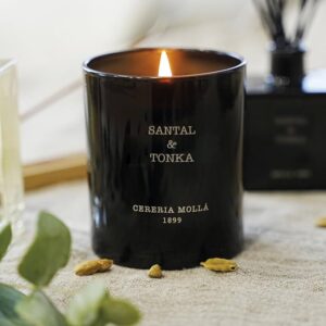 CERERIA MOLLA - Vela Santal & Tonka Premium 230g Candle