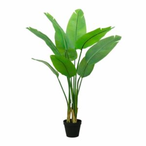 Strelitzia Palm Tree - 120cm
