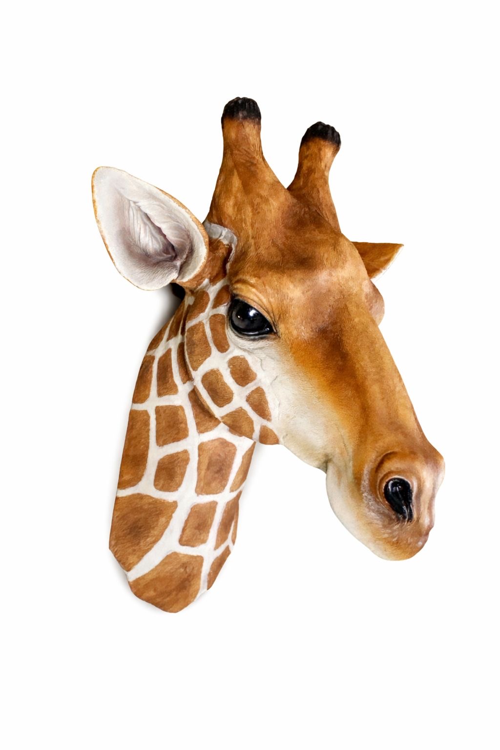 Giraffe Head